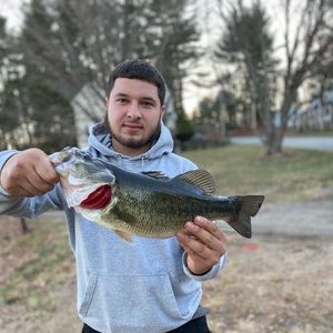 Meet your Posher, Dante